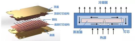 數據來源:COFAN 官網，國泰君安證券研究