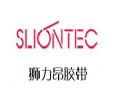 獅立昂 6501，SLIONTEC 6501