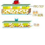 異方導電膜