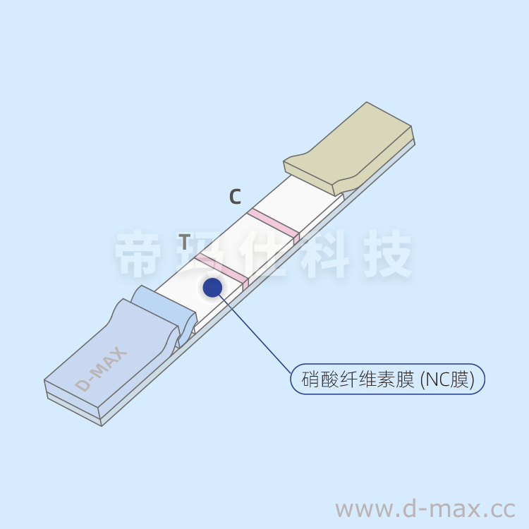 進口硝酸纖維素膜，膠體金法用NC膜
