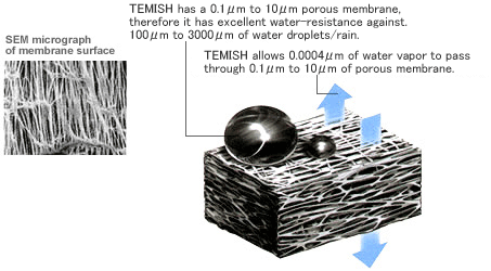 TEMISH,汽車車燈，ECU防水透氣材料